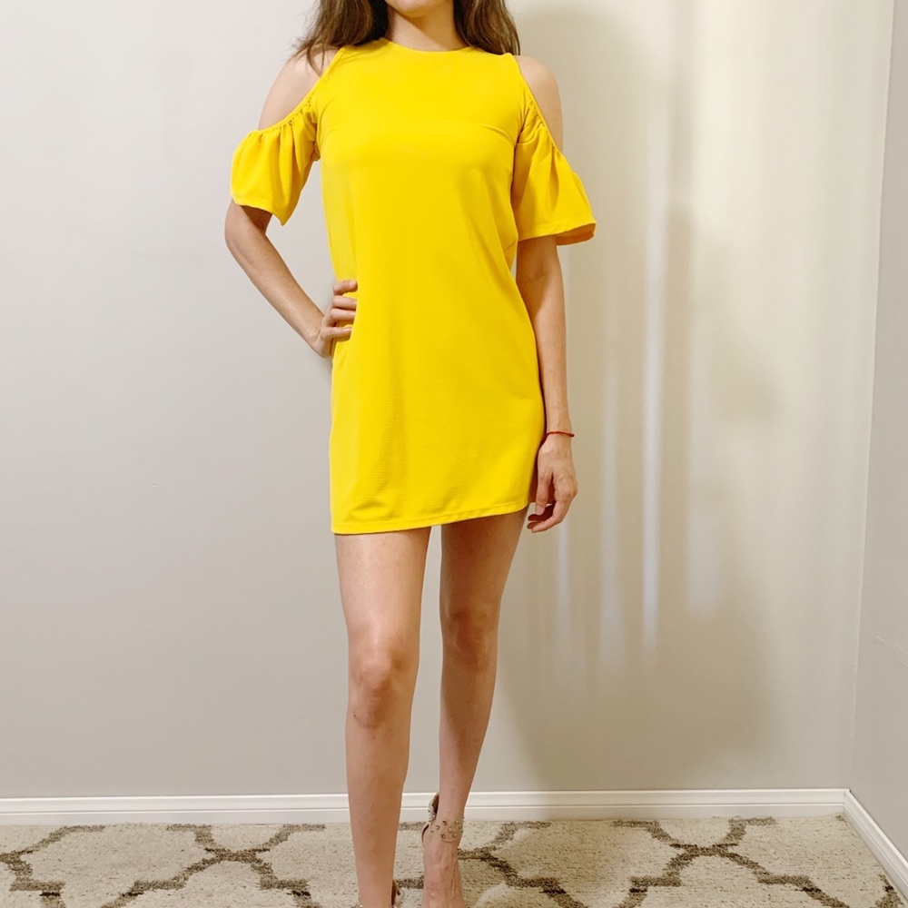 SOLD Zara Trafaluc Dress